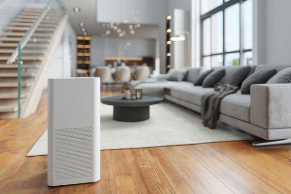 Gallery Dehumidifier 4 1748632155