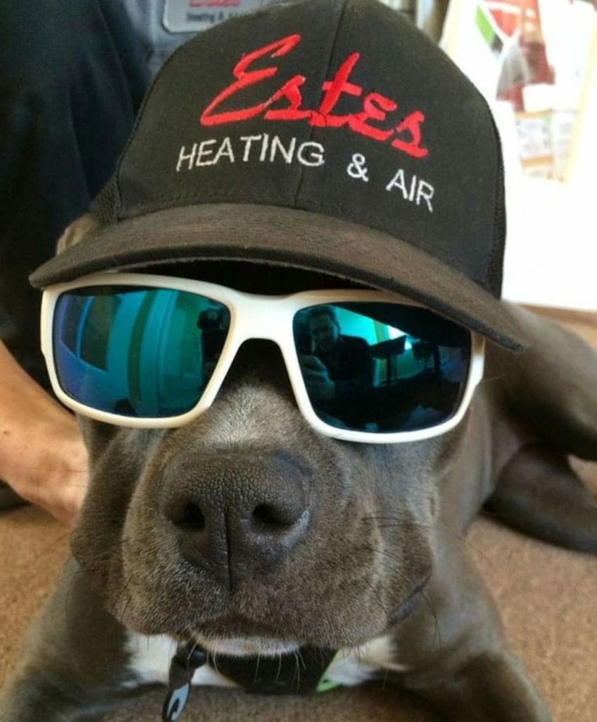 Hvac-company-pet-848x1024 Hvac Company Pet